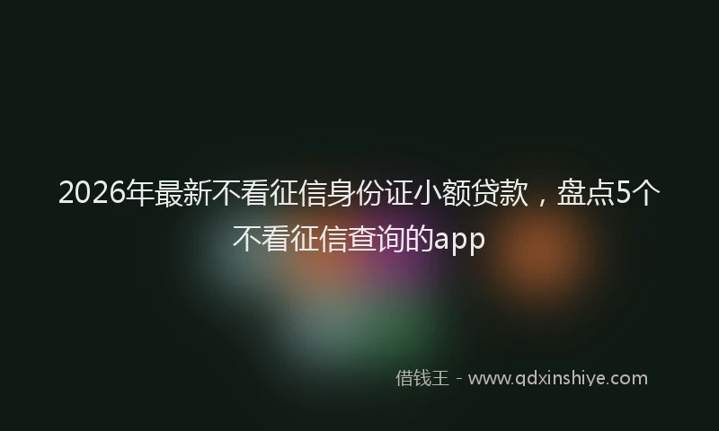2026年最新不看征信身份证小额贷款,盘点5个不看征信查询的app