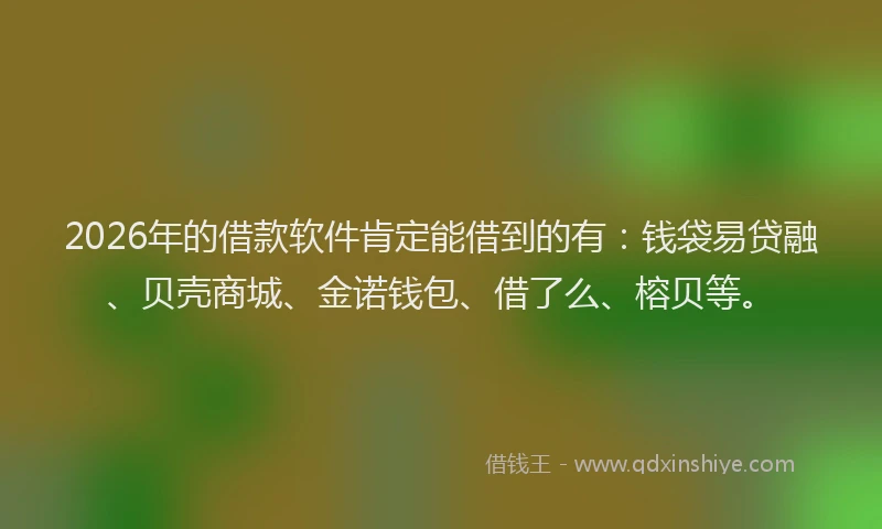 2026年的借款软件肯定能借到的有：钱袋易贷融、贝壳商城、金诺钱包、借了么、榕贝等。