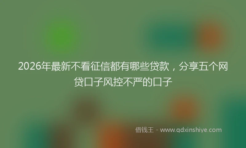 2026年最新不看征信都有哪些贷款，分享五个网贷口子风控不严的口子
