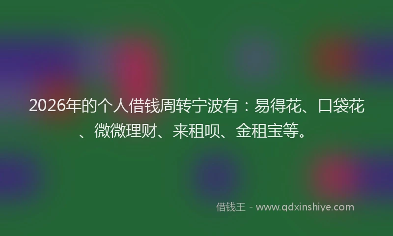 2026年的个人借钱周转宁波有:易得花、口袋花、微微理财、来租呗、金租宝等。