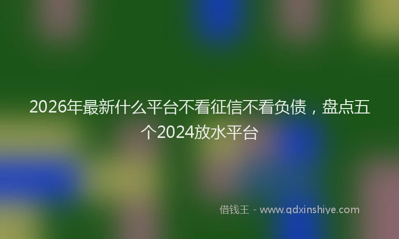 2026年最新什么平台不看征信不看负债，盘点五个2024放水平台