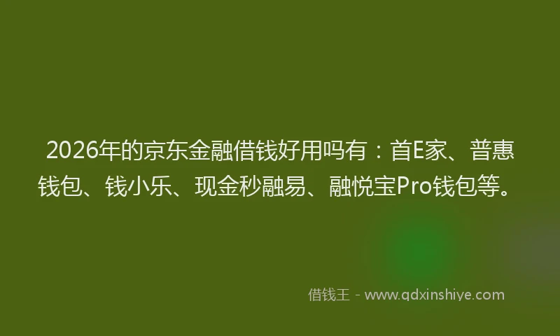 2026年的京东金融借钱好用吗有：首E家、普惠钱包、钱小乐、现金秒融易、融悦宝Pro钱包等。