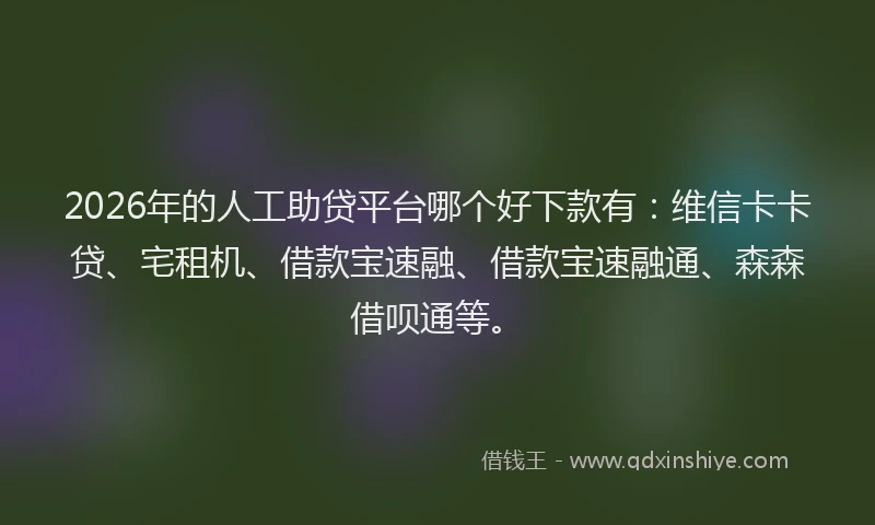 2026年的人工助贷平台哪个好下款有:维信卡卡贷、宅租机、借款宝速融、借款宝速融通、森森借呗通等。
