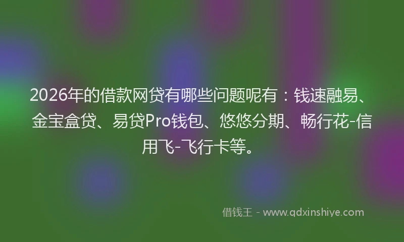 2026年的借款网贷有哪些问题呢有：钱速融易、金宝盒贷、易贷Pro钱包、悠悠分期、畅行花-信用飞-飞行卡等。