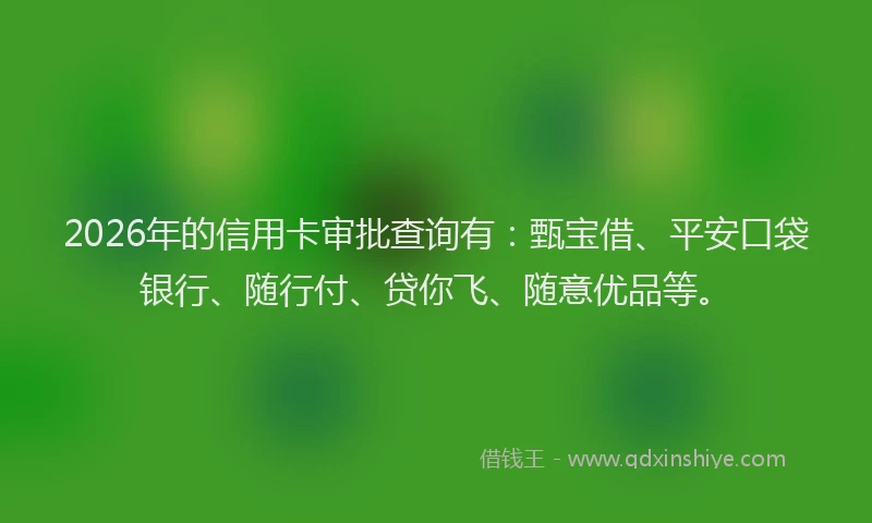 2026年的信用卡审批查询有：甄宝借、平安口袋银行、随行付、贷你飞、随意优品等。