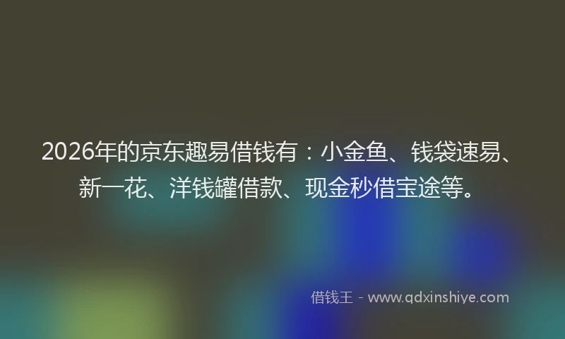 2026年的京东趣易借钱有：小金鱼、钱袋速易、新一花、洋钱罐借款、现金秒借宝途等。