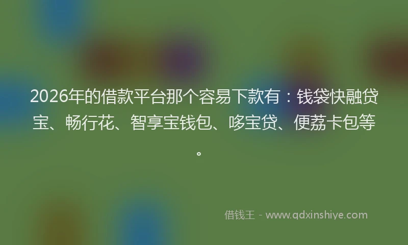 2026年的借款平台那个容易下款有：钱袋快融贷宝、畅行花、智享宝钱包、哆宝贷、便荔卡包等。