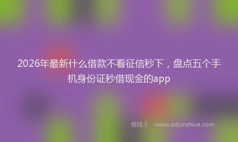 2026年最新什么借款不看征信秒下,盘点五个手机身份证秒借现金的app