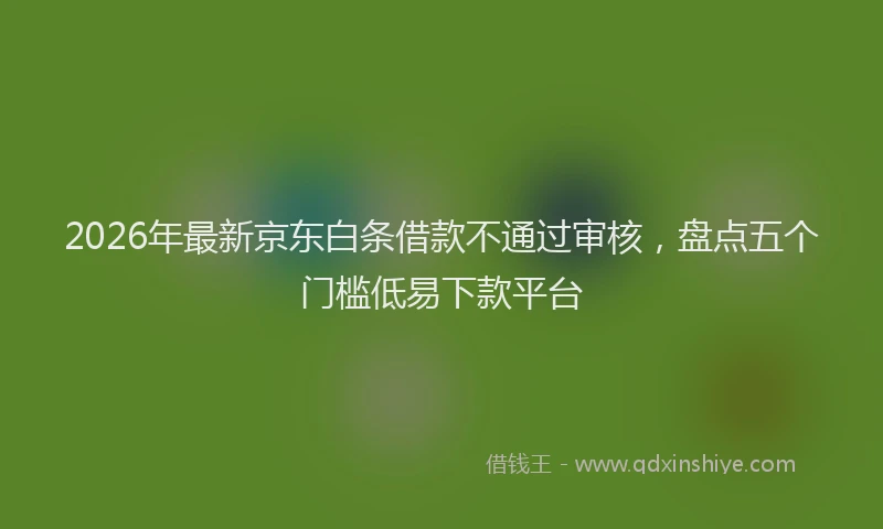2026年最新京东白条借款不通过审核，盘点五个门槛低易下款平台