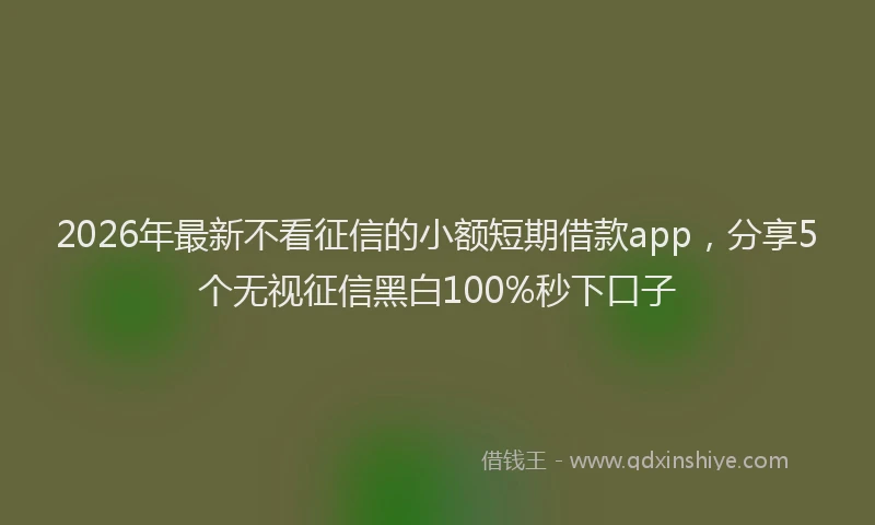 2026年最新不看征信的小额短期借款app，分享5个无视征信黑白100%秒下口子