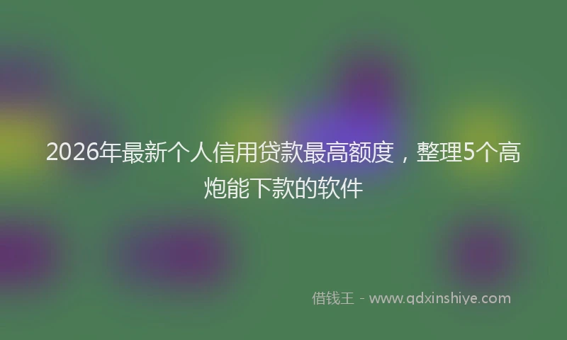 2026年最新个人信用贷款最高额度，整理5个高炮能下款的软件