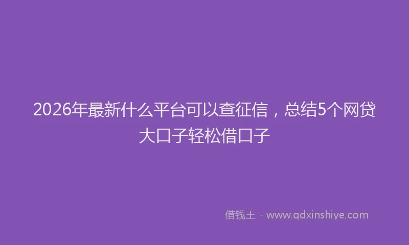 2026年最新什么平台可以查征信，总结5个网贷大口子轻松借口子