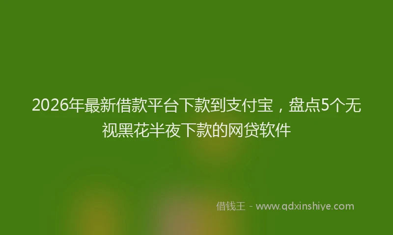 2026年最新借款平台下款到支付宝，盘点5个无视黑花半夜下款的网贷软件