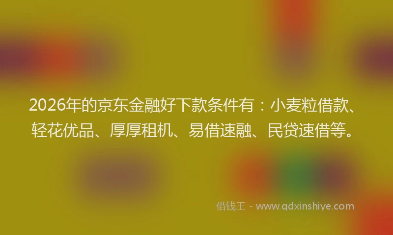 2026年的京东金融好下款条件有：小麦粒借款、轻花优品、厚厚租机、易借速融、民贷速借等。