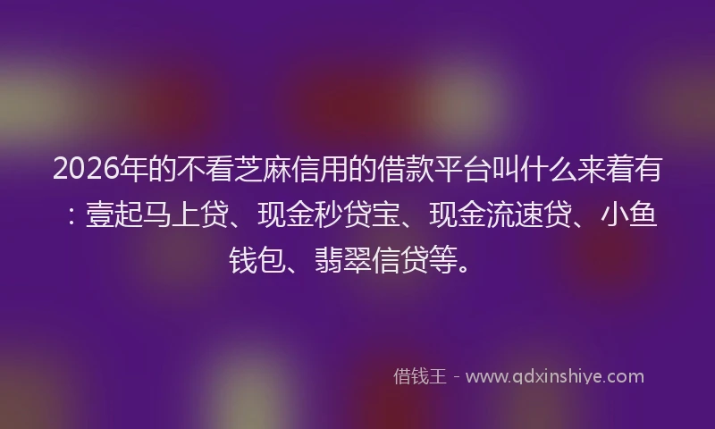 2026年的不看芝麻信用的借款平台叫什么来着有：壹起马上贷、现金秒贷宝、现金流速贷、小鱼钱包、翡翠信贷等。