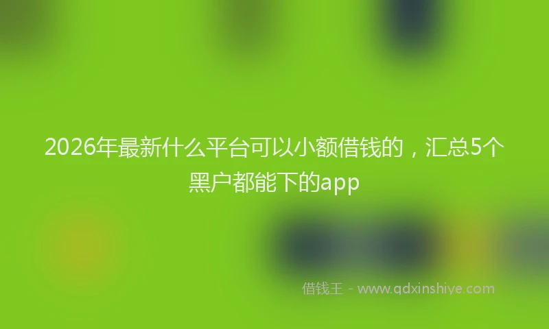 2026年最新什么平台可以小额借钱的,汇总5个黑户都能下的app
