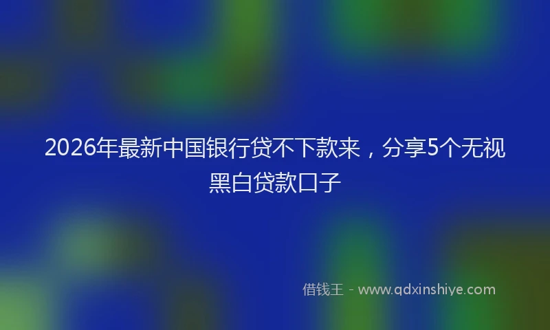 2026年最新中国银行贷不下款来，分享5个无视黑白贷款口子