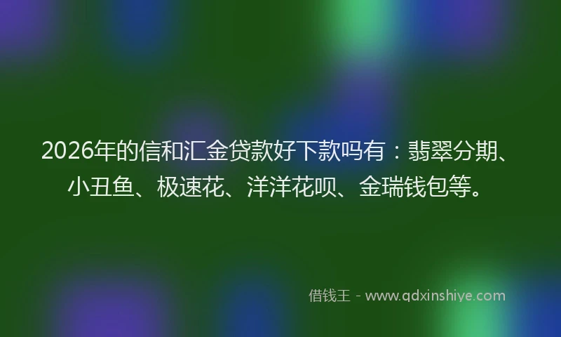 2026年的信和汇金贷款好下款吗有：翡翠分期、小丑鱼、极速花、洋洋花呗、金瑞钱包等。