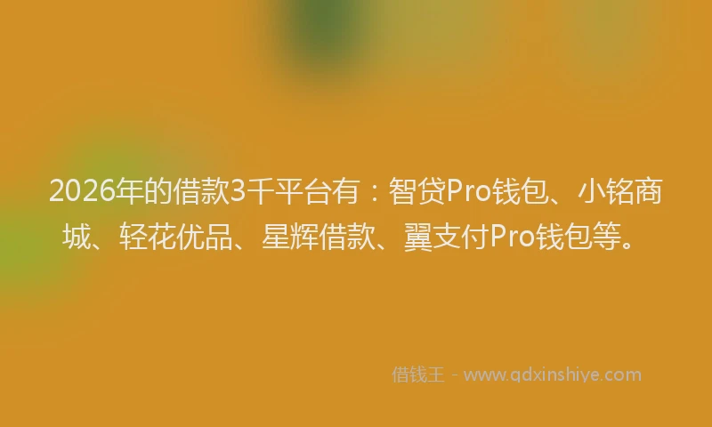 2026年的借款3千平台有：智贷Pro钱包、小铭商城、轻花优品、星辉借款、翼支付Pro钱包等。
