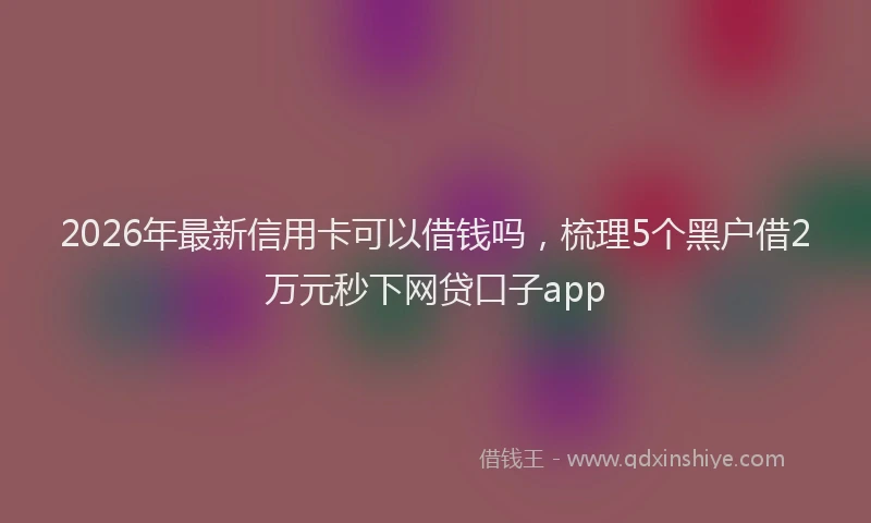 2026年最新信用卡可以借钱吗,梳理5个黑户借2万元秒下网贷口子app