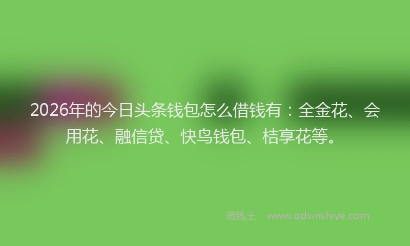 2026年的今日头条钱包怎么借钱有：全金花、会用花、融信贷、快鸟钱包、桔享花等。