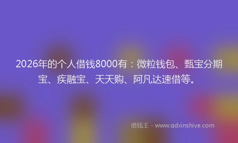 2026年的个人借钱8000有：微粒钱包、甄宝分期宝、疾融宝、天天购、阿凡达速借等。