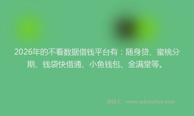 2026年的不看数据借钱平台有：随身贷、蜜桃分期、钱袋快借通、小鱼钱包、金满堂等。