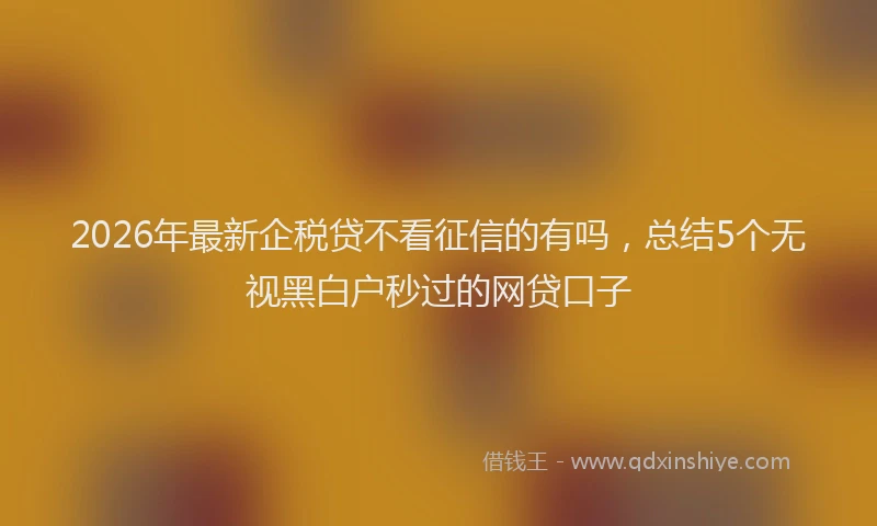 2026年最新企税贷不看征信的有吗，总结5个无视黑白户秒过的网贷口子
