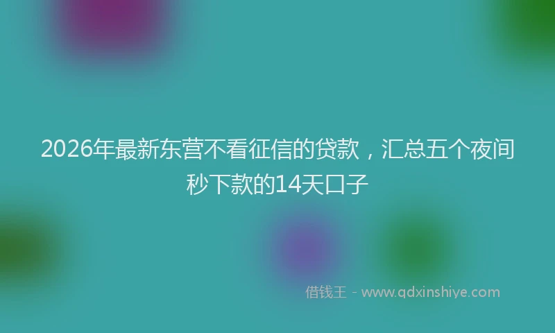 2026年最新东营不看征信的贷款,汇总五个夜间秒下款的14天口子