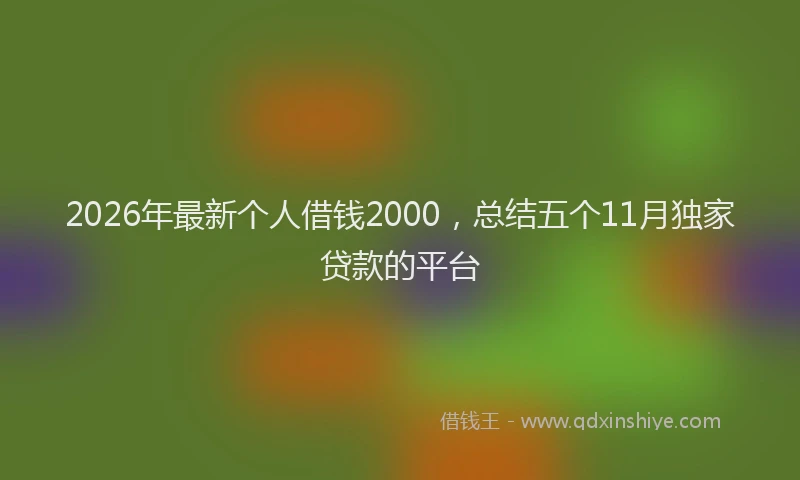 2026年最新个人借钱2000，总结五个11月独家贷款的平台