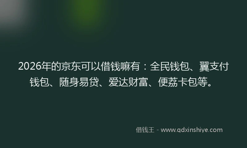2026年的京东可以借钱嘛有:全民钱包、翼支付钱包、随身易贷、爱达财富、便荔卡包等。