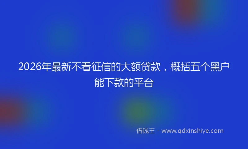 2026年最新不看征信的大额贷款,概括五个黑户能下款的平台