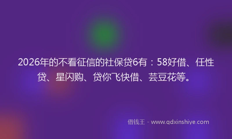 2026年的不看征信的社保贷6有：58好借、任性贷、星闪购、贷你飞快借、芸豆花等。