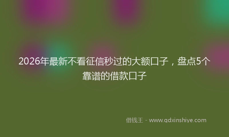 2026年最新不看征信秒过的大额口子，盘点5个靠谱的借款口子