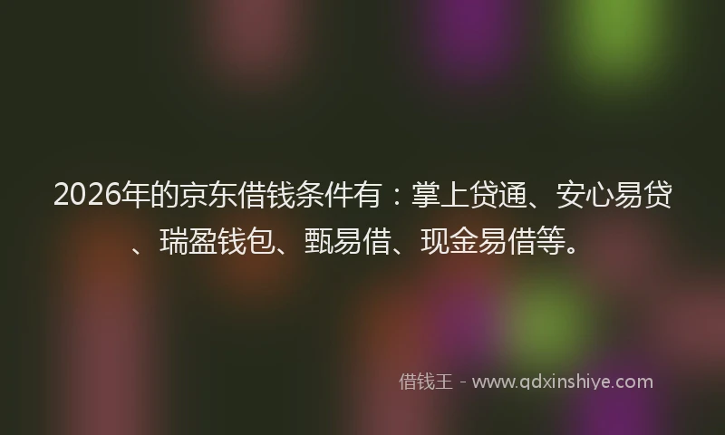 2026年的京东借钱条件有：掌上贷通、安心易贷、瑞盈钱包、甄易借、现金易借等。