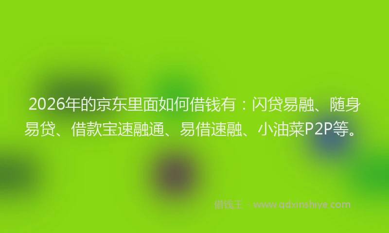 2026年的京东里面如何借钱有：闪贷易融、随身易贷、借款宝速融通、易借速融、小油菜P2P等。