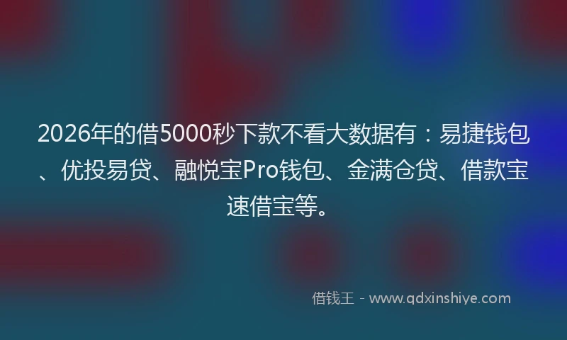 2026年的借5000秒下款不看大数据有：易捷钱包、优投易贷、融悦宝Pro钱包、金满仓贷、借款宝速借宝等。
