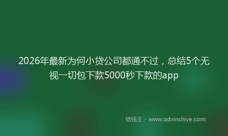 2026年最新为何小贷公司都通不过，总结5个无视一切包下款5000秒下款的app
