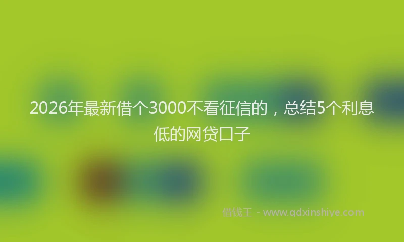 2026年最新借个3000不看征信的，总结5个利息低的网贷口子