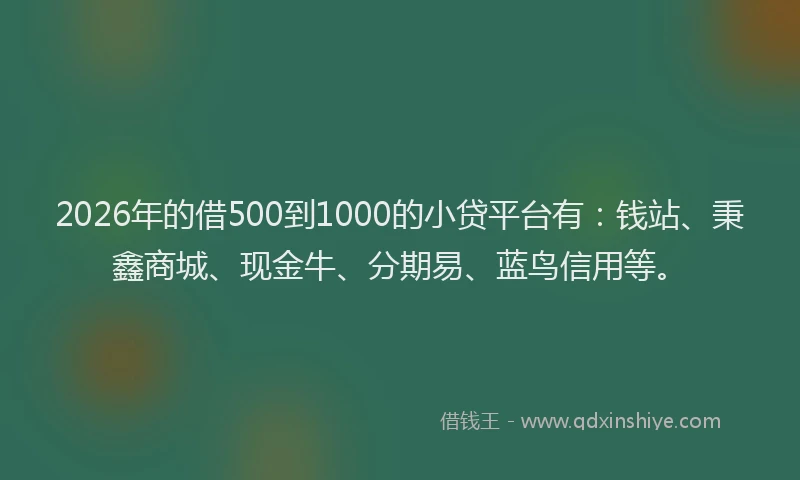2026年的借500到1000的小贷平台有：钱站、秉鑫商城、现金牛、分期易、蓝鸟信用等。