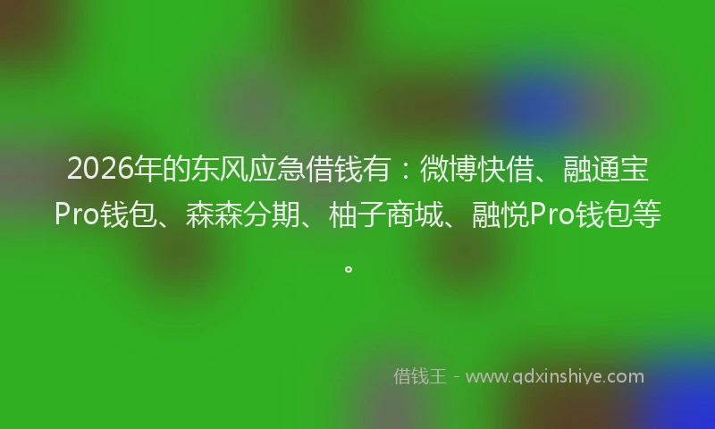 2026年的东风应急借钱有：微博快借、融通宝Pro钱包、森森分期、柚子商城、融悦Pro钱包等。