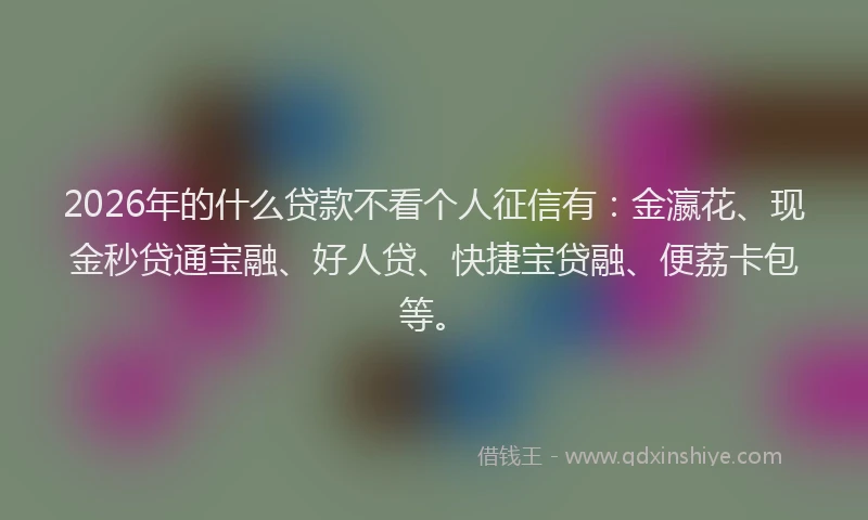 2026年的什么贷款不看个人征信有:金瀛花、现金秒贷通宝融、好人贷、快捷宝贷融、便荔卡包等。