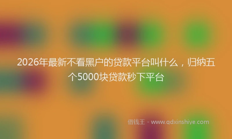 2026年最新不看黑户的贷款平台叫什么，归纳五个5000块贷款秒下平台