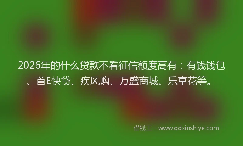 2026年的什么贷款不看征信额度高有:有钱钱包、首E快贷、疾风购、万盛商城、乐享花等。