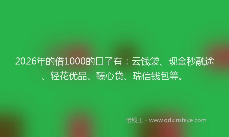 2026年的借1000的口子有:云钱袋、现金秒融途、轻花优品、臻心贷、瑞信钱包等。