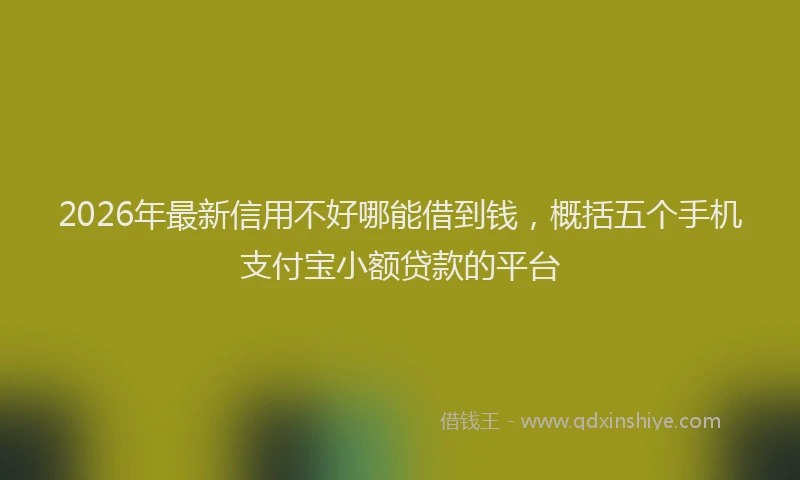 2026年最新信用不好哪能借到钱，概括五个手机支付宝小额贷款的平台