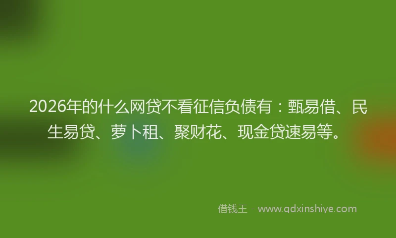 2026年的什么网贷不看征信负债有：甄易借、民生易贷、萝卜租、聚财花、现金贷速易等。