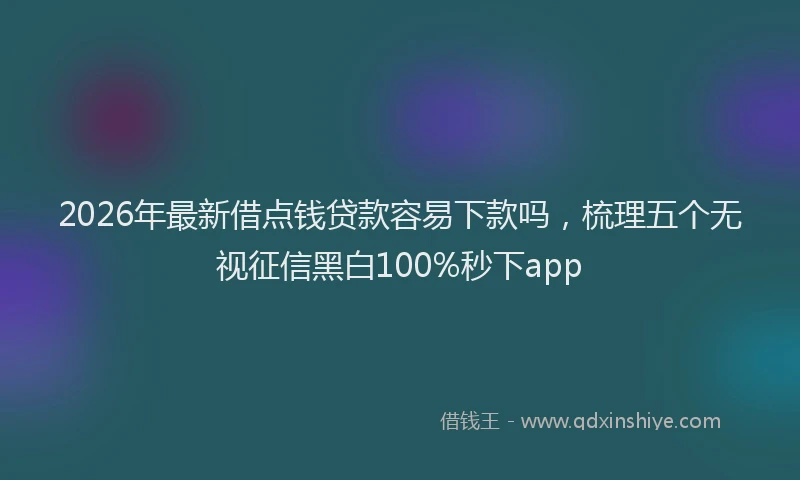 2026年最新借点钱贷款容易下款吗，梳理五个无视征信黑白100%秒下app