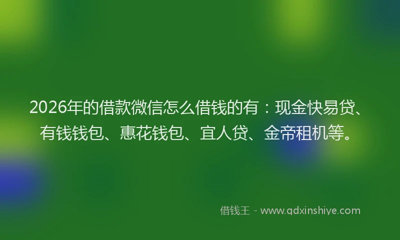 2026年的借款微信怎么借钱的有：现金快易贷、有钱钱包、惠花钱包、宜人贷、金帝租机等。