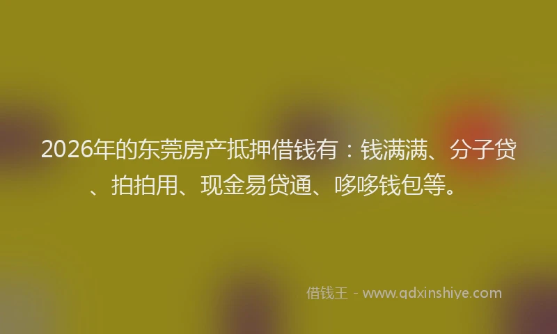2026年的东莞房产抵押借钱有：钱满满、分子贷、拍拍用、现金易贷通、哆哆钱包等。